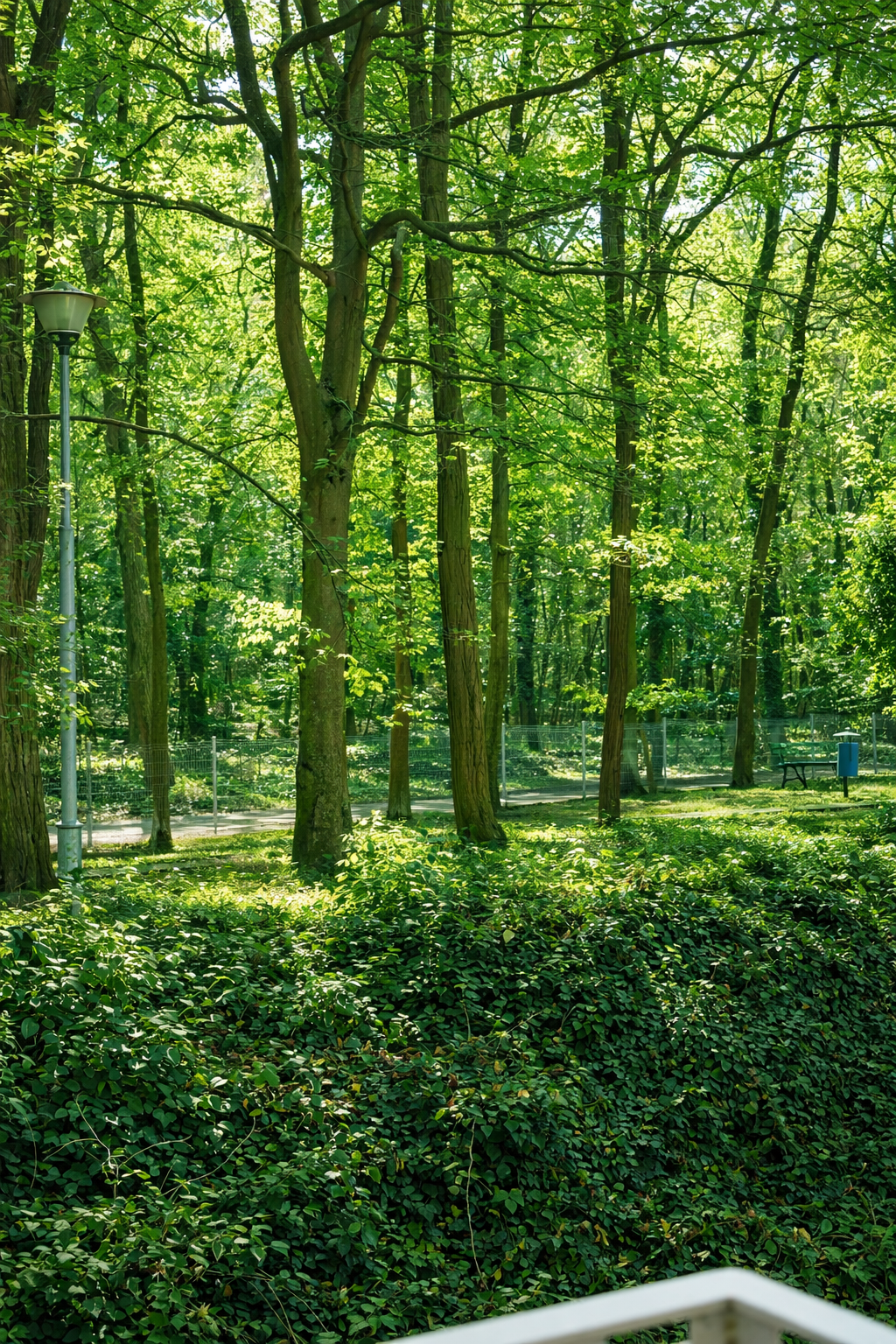 Atrakcje i otoczenie